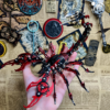 diy001-06 3D Mechanical Scorpion Metal Puzzle Kit