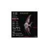 3D Mechanical Angelfish Metal Puzzle Model Kit with Display Stand (2 Color Editions) - 3D Metal Model Kit View #1 Precision Laser Cut Assembly